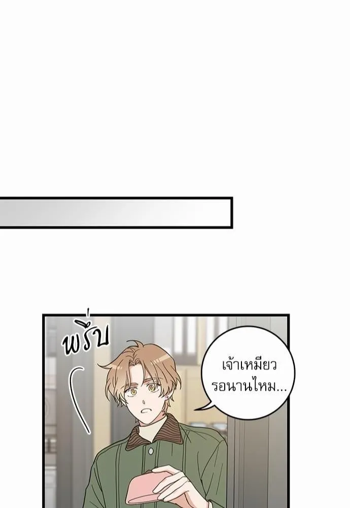 My One and Only Cat ตอนที่ 1944