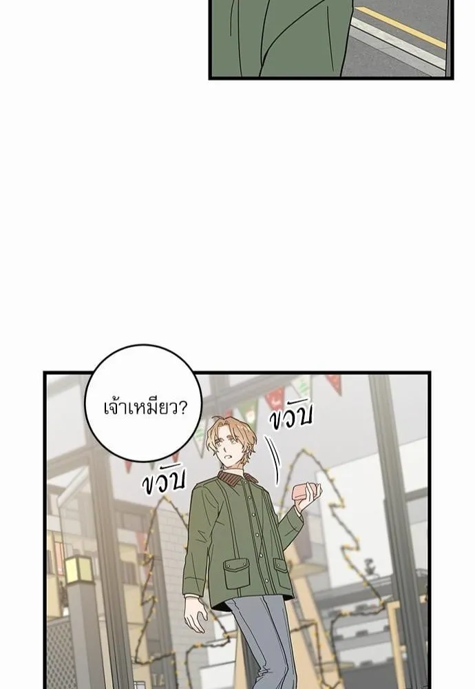 My One and Only Cat ตอนที่ 1946