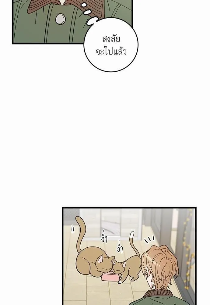 My One and Only Cat ตอนที่ 1948