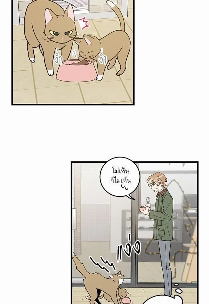 My One and Only Cat ตอนที่ 1950