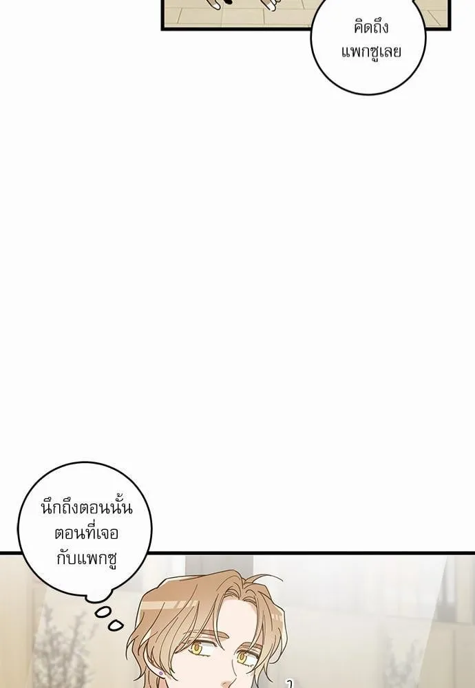 My One and Only Cat ตอนที่ 1951