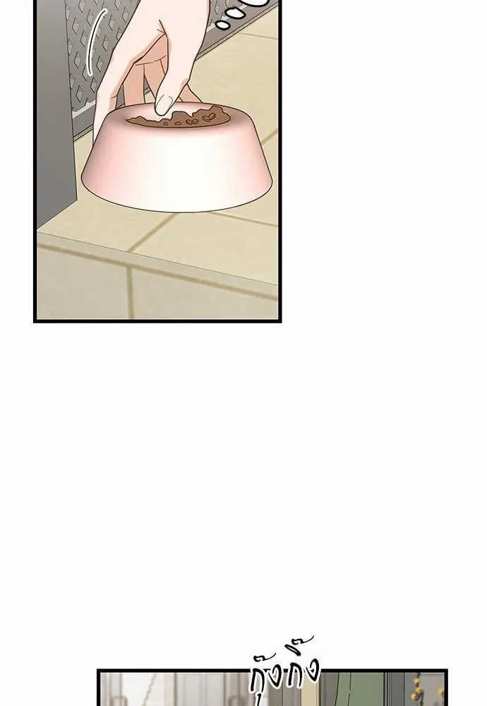 My One and Only Cat ตอนที่ 1953