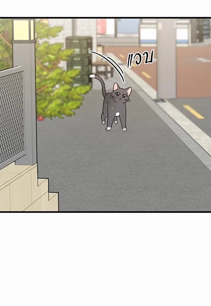 My One and Only Cat ตอนที่ 1955