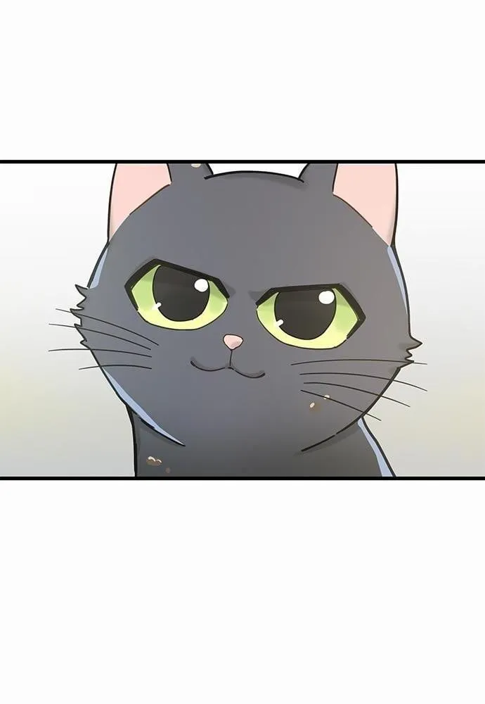 My One and Only Cat ตอนที่ 1956