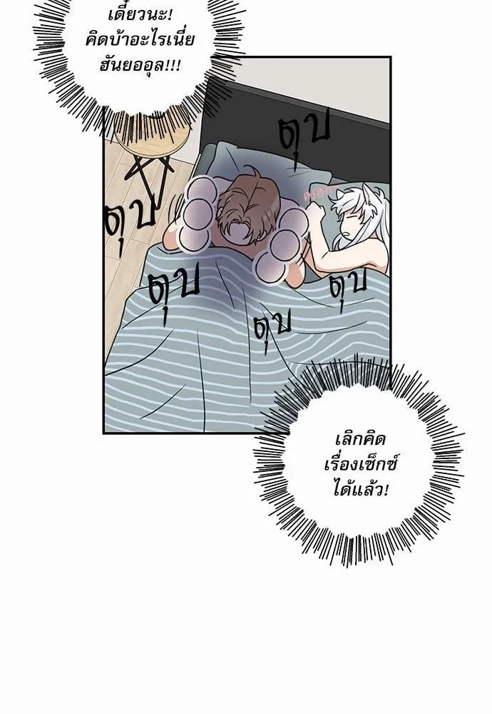 My One and Only Cat ตอนที่ 2011