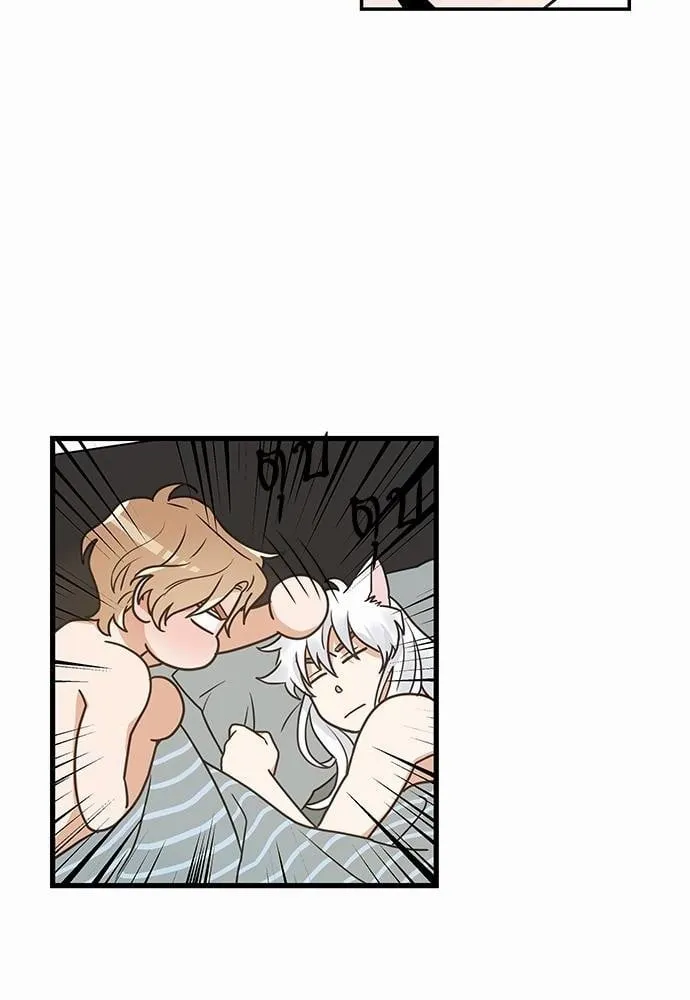 My One and Only Cat ตอนที่ 2016