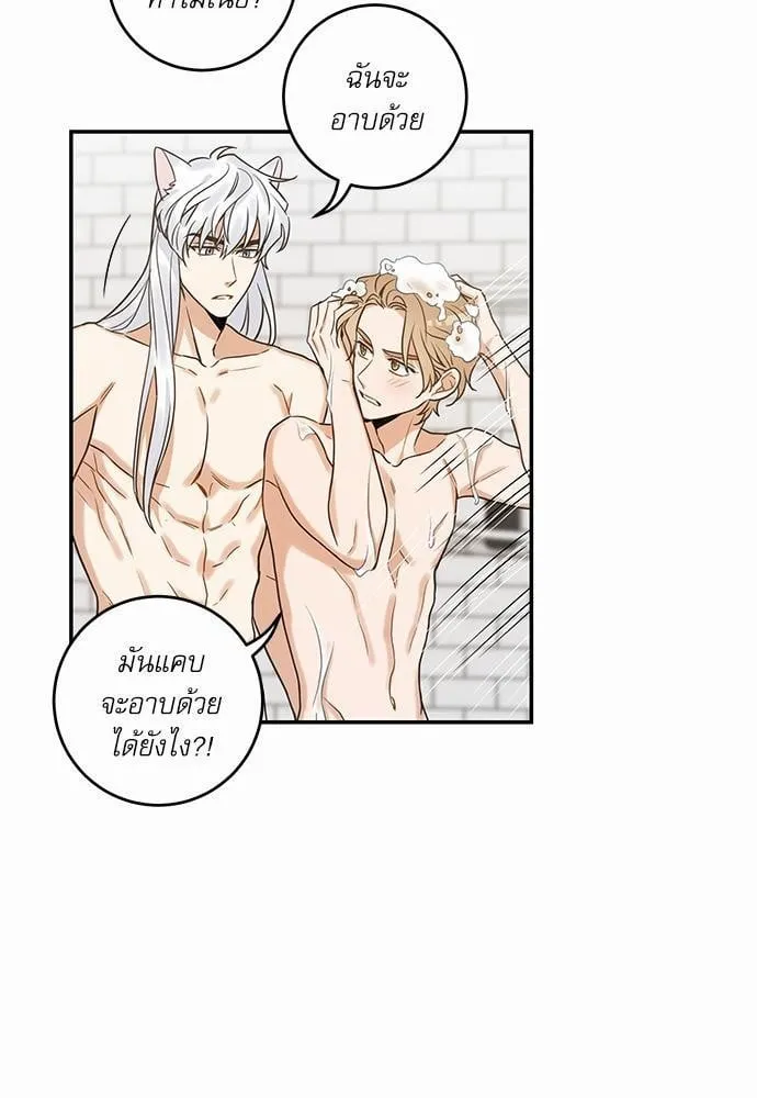 My One and Only Cat ตอนที่ 2029