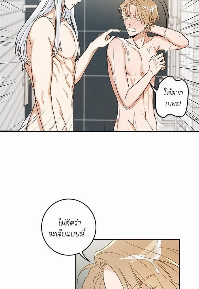 My One and Only Cat ตอนที่ 2033