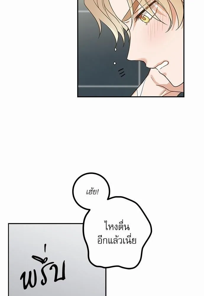 My One and Only Cat ตอนที่ 2034