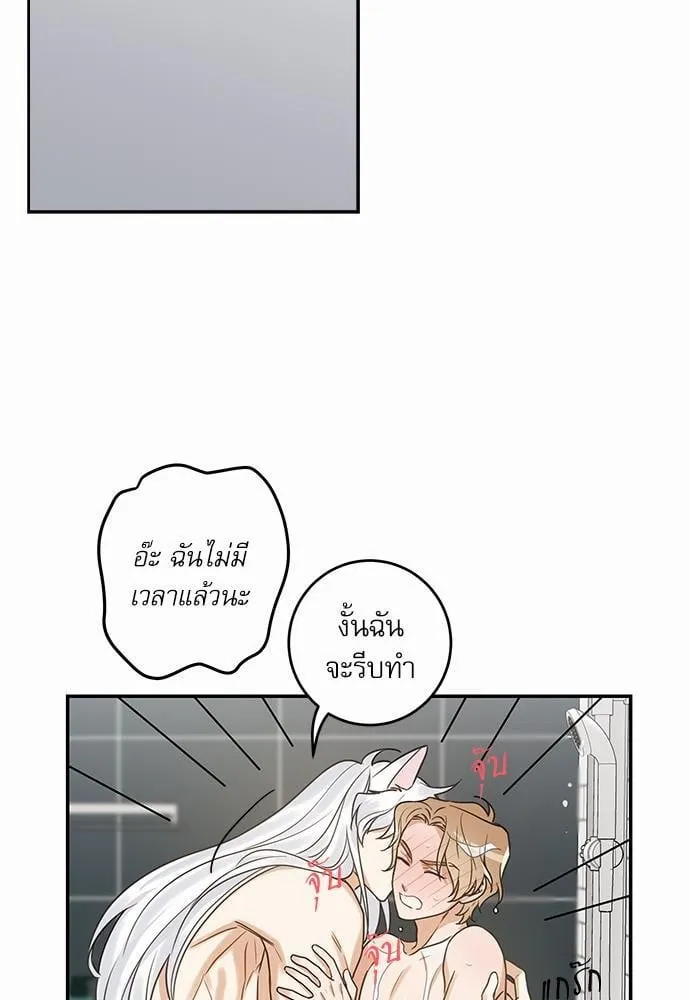 My One and Only Cat ตอนที่ 2035