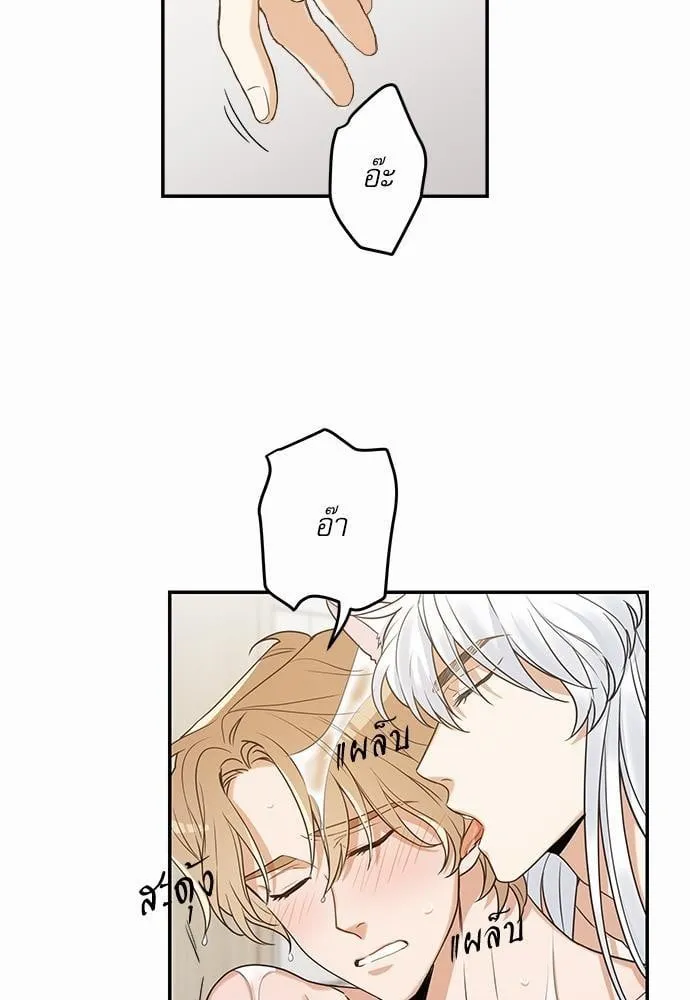 My One and Only Cat ตอนที่ 2037