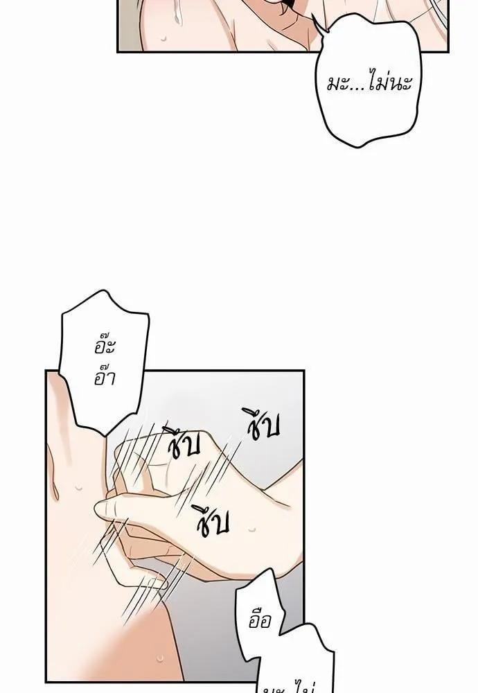 My One and Only Cat ตอนที่ 2038