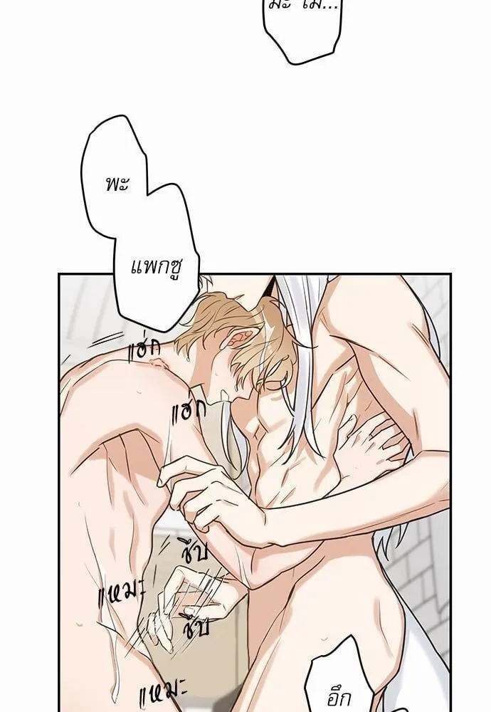 My One and Only Cat ตอนที่ 2039