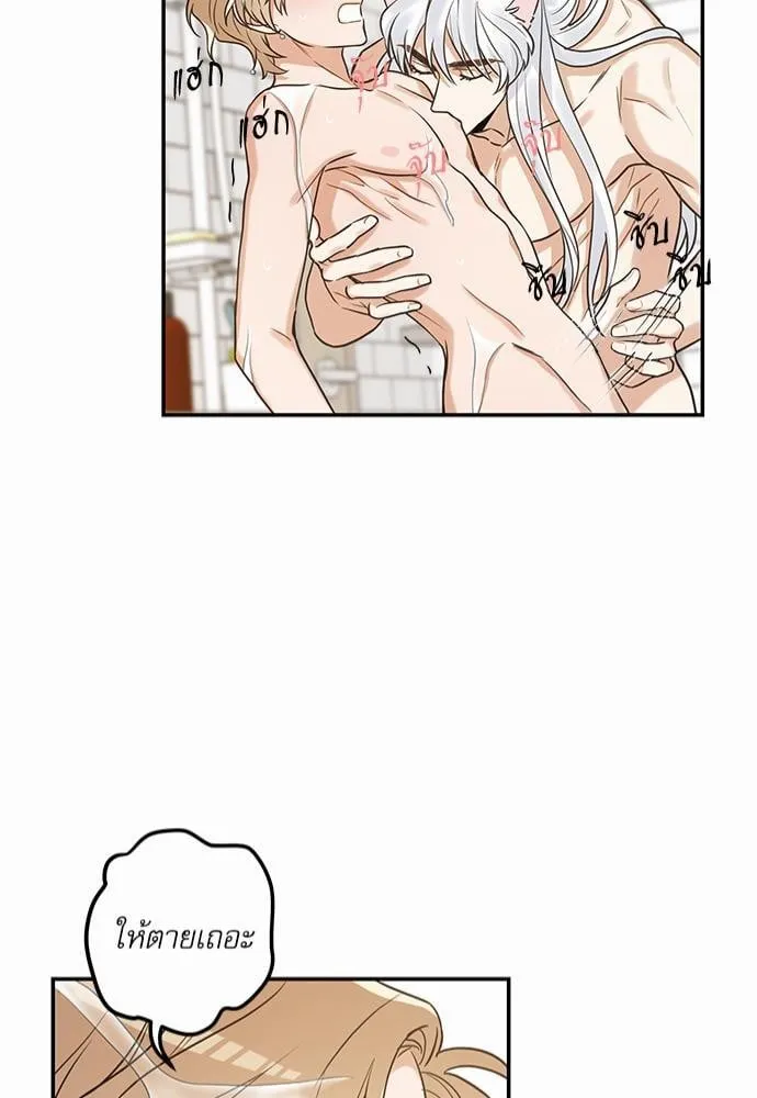 My One and Only Cat ตอนที่ 2041