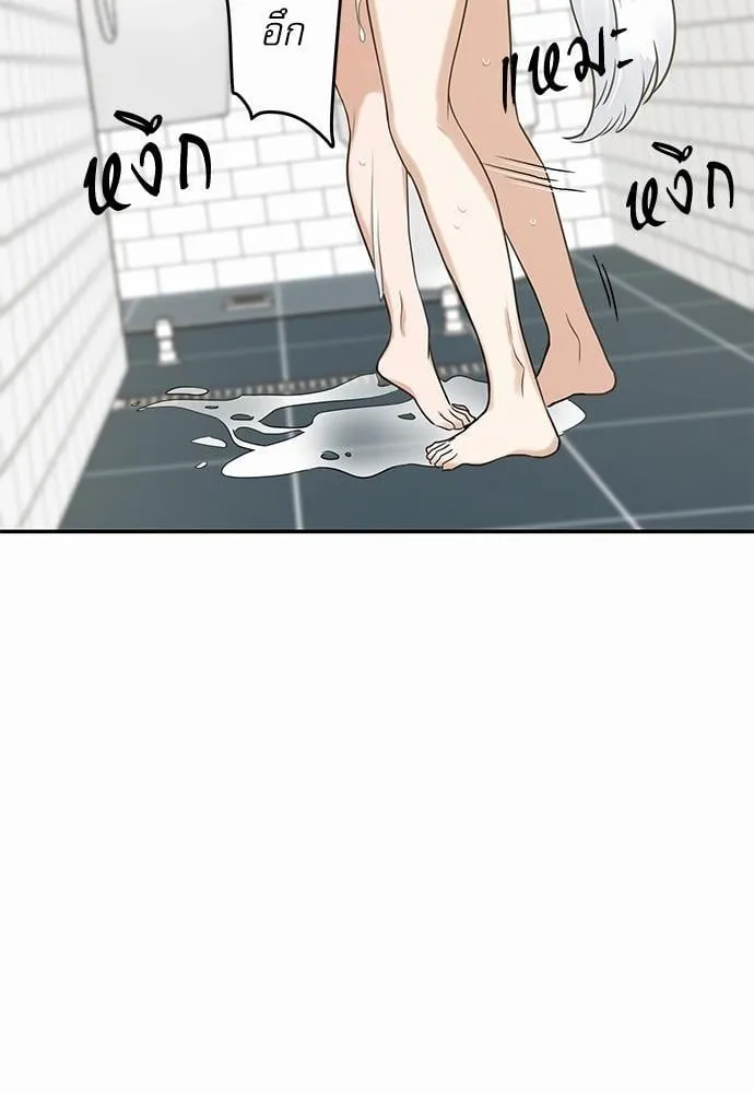 My One and Only Cat ตอนที่ 2046