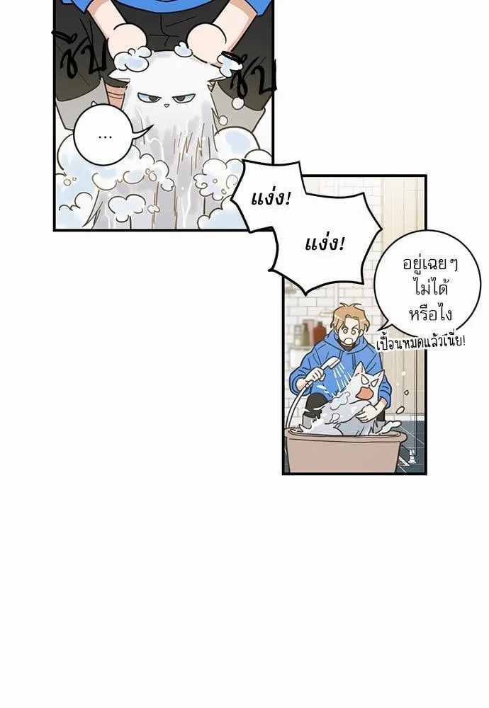 My One and Only Cat ตอนที่ 205 My One and Only Cat ตอนที่ 205