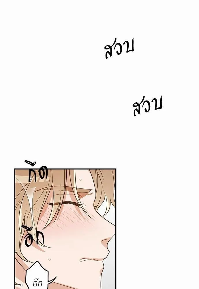 My One and Only Cat ตอนที่ 2052