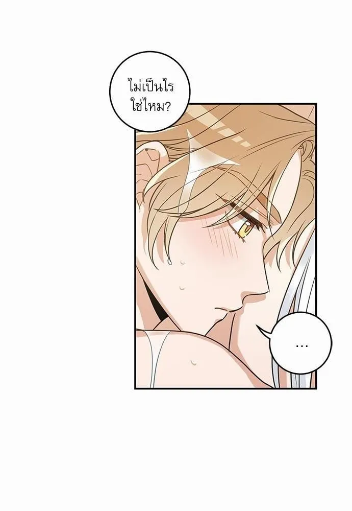 My One and Only Cat ตอนที่ 2056