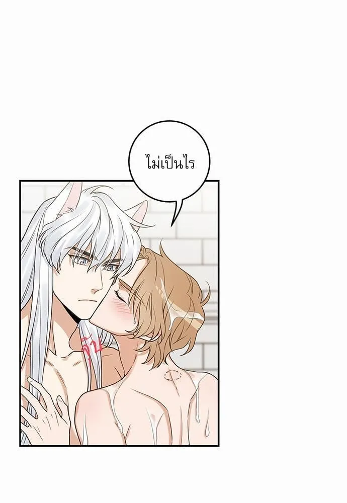 My One and Only Cat ตอนที่ 2057