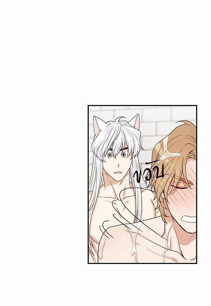 My One and Only Cat ตอนที่ 2058