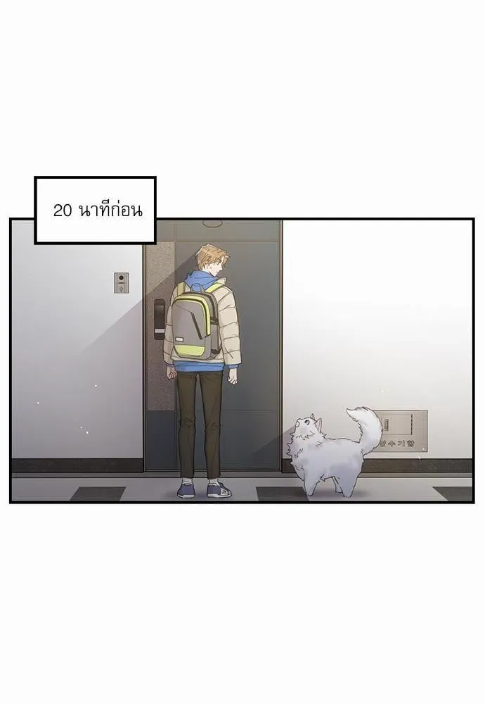 My One and Only Cat ตอนที่ 206 My One and Only Cat ตอนที่ 206