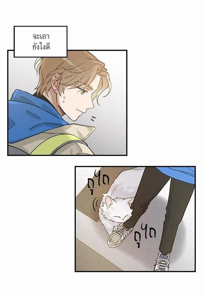 My One and Only Cat ตอนที่ 208 My One and Only Cat ตอนที่ 208