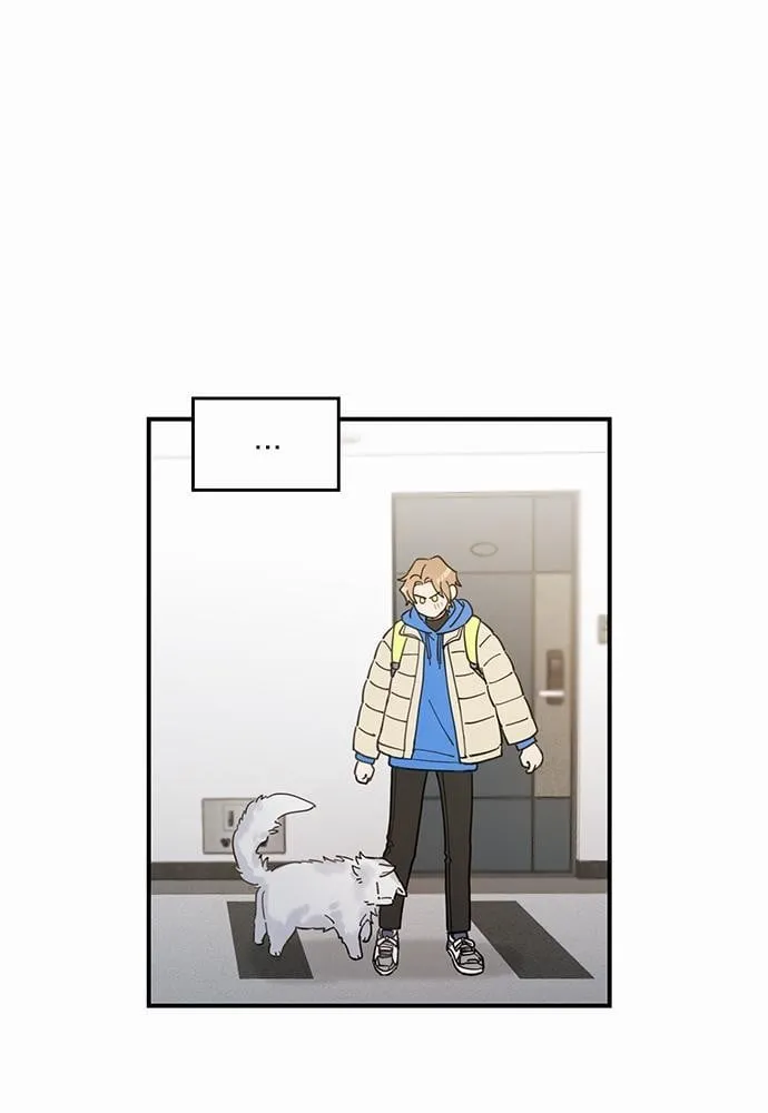 My One and Only Cat ตอนที่ 209 My One and Only Cat ตอนที่ 209