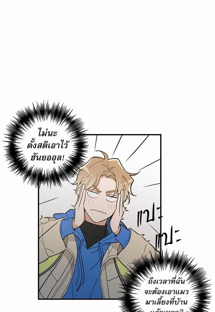 My One and Only Cat ตอนที่ 210 My One and Only Cat ตอนที่ 210