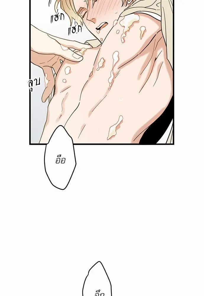 My One and Only Cat ตอนที่ 2102