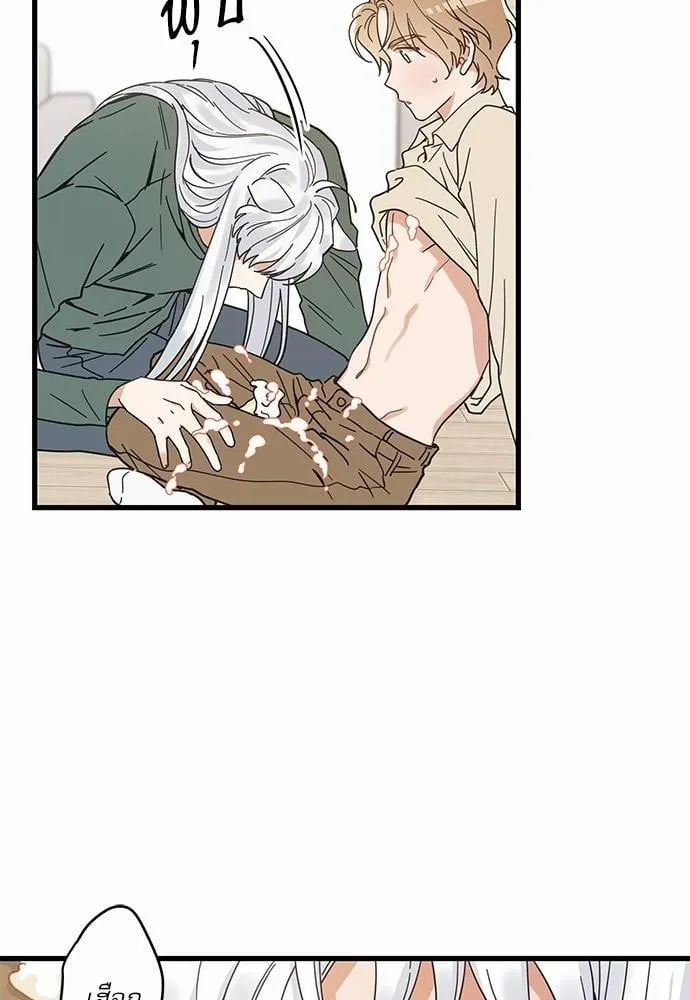 My One and Only Cat ตอนที่ 2118