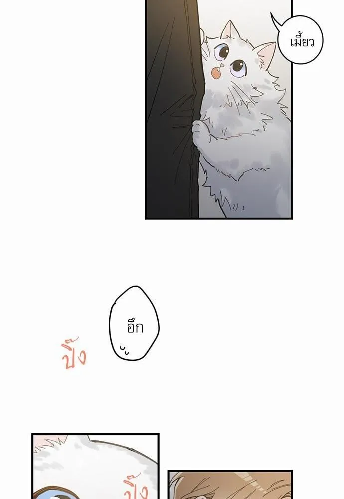 My One and Only Cat ตอนที่ 212 My One and Only Cat ตอนที่ 212