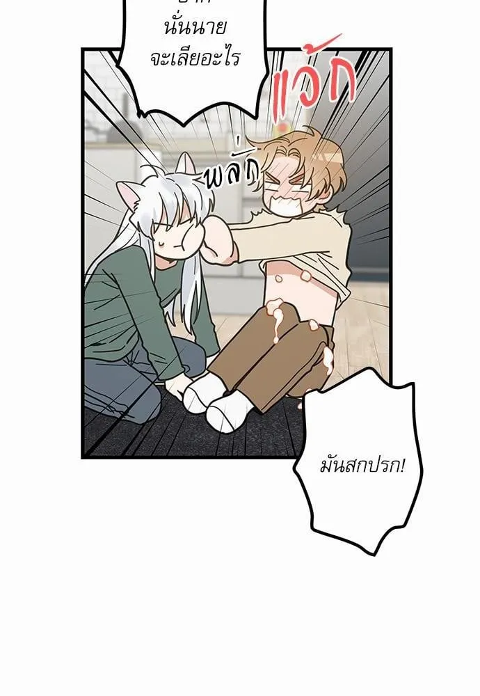 My One and Only Cat ตอนที่ 2120