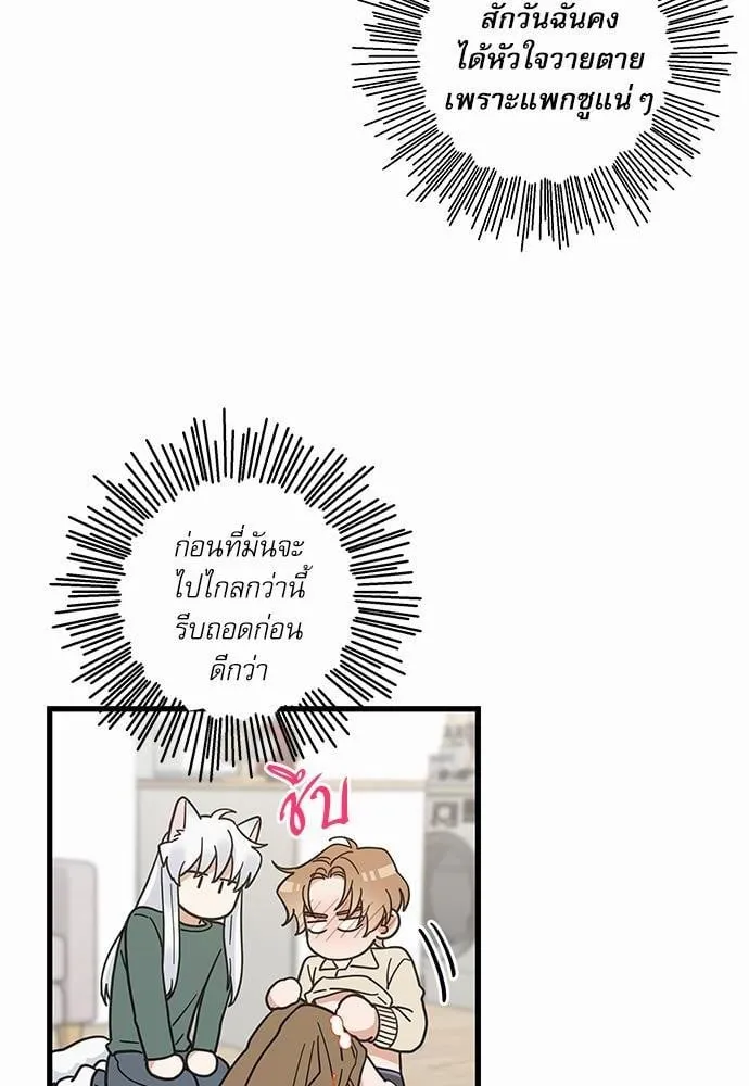My One and Only Cat ตอนที่ 2122