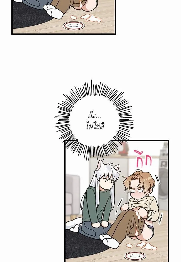 My One and Only Cat ตอนที่ 2123