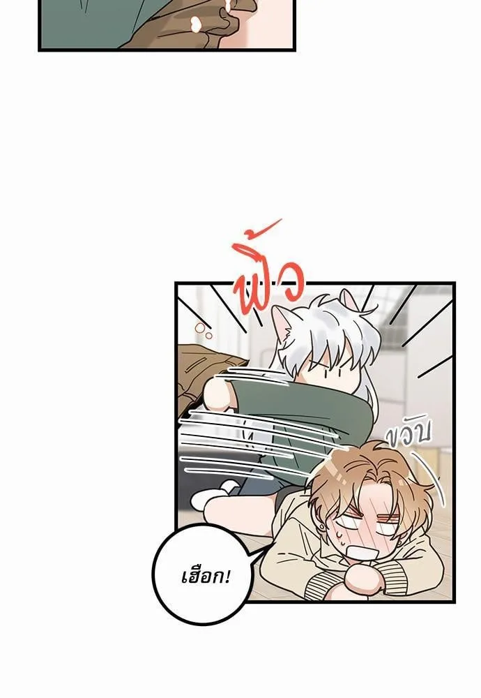 My One and Only Cat ตอนที่ 2125