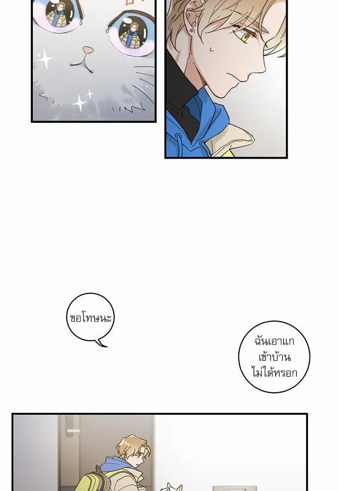 My One and Only Cat ตอนที่ 213 My One and Only Cat ตอนที่ 213