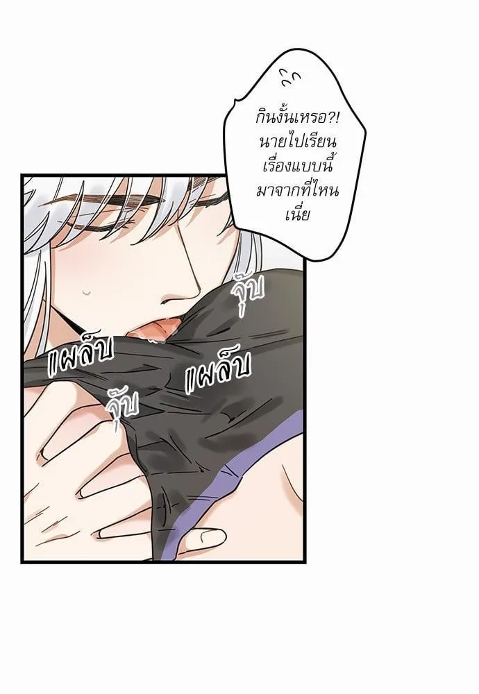 My One and Only Cat ตอนที่ 2131