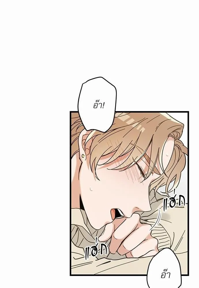 My One and Only Cat ตอนที่ 2132