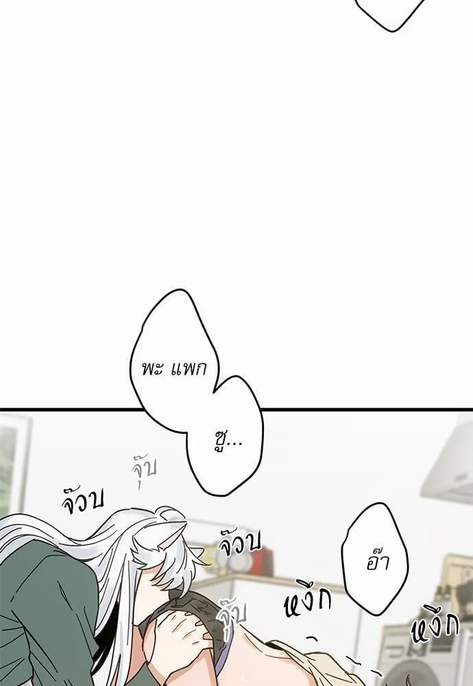 My One and Only Cat ตอนที่ 2133