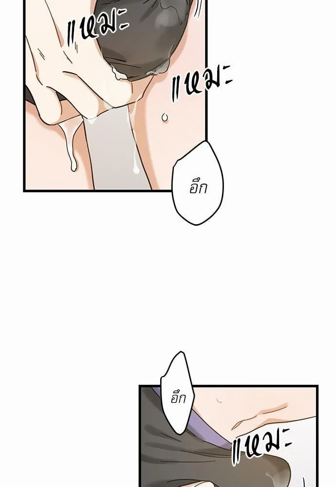 My One and Only Cat ตอนที่ 2135