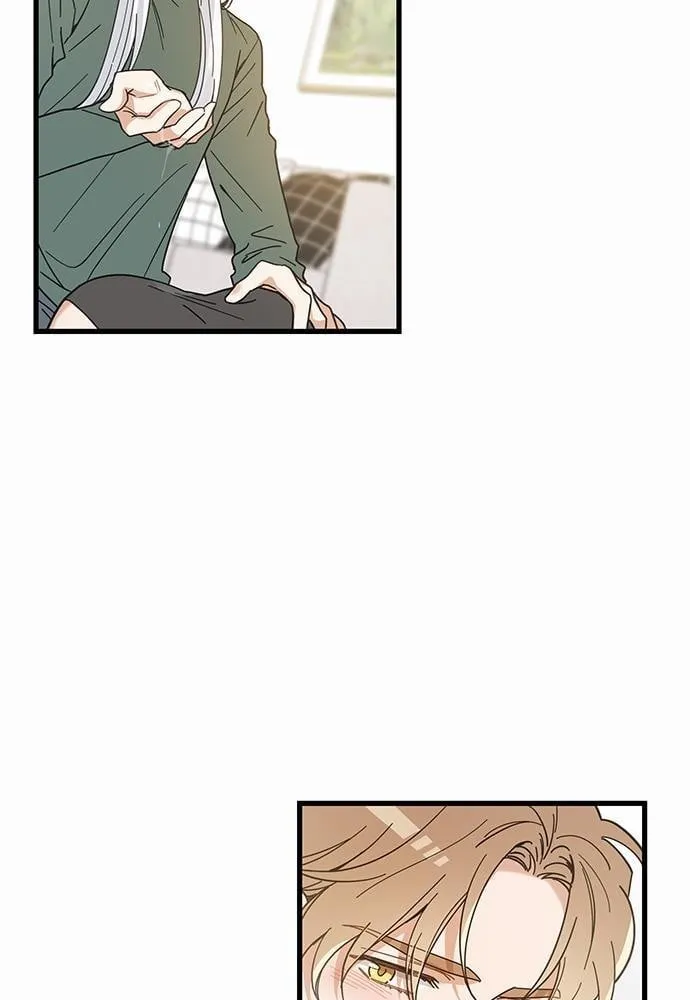 My One and Only Cat ตอนที่ 2137