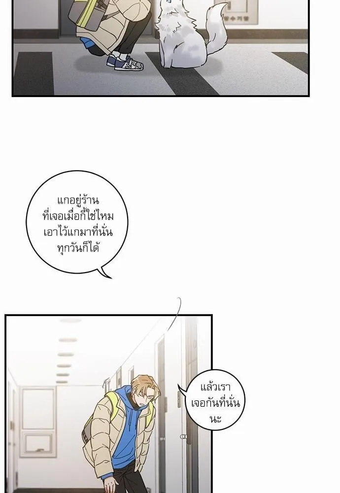 My One and Only Cat ตอนที่ 214 My One and Only Cat ตอนที่ 214