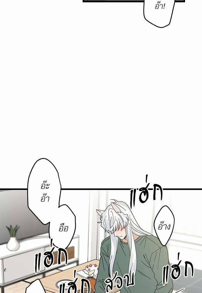 My One and Only Cat ตอนที่ 2141