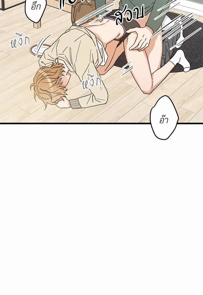 My One and Only Cat ตอนที่ 2142