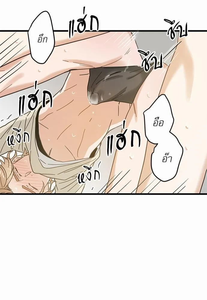 My One and Only Cat ตอนที่ 2143