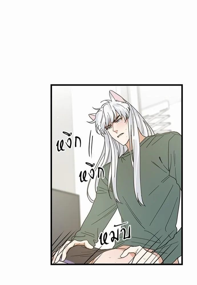 My One and Only Cat ตอนที่ 2144