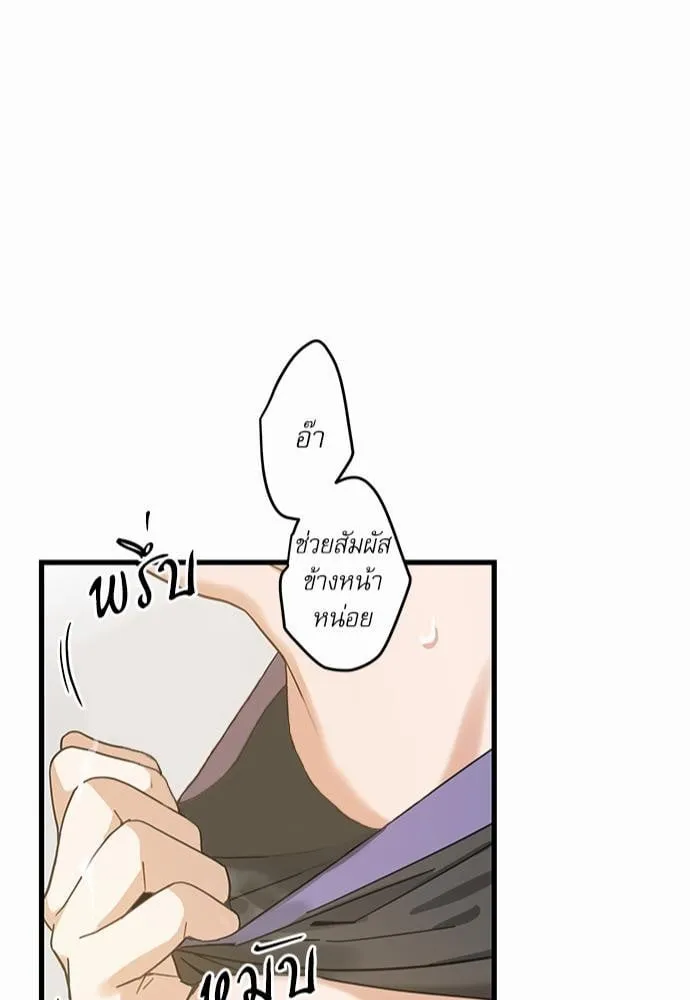 My One and Only Cat ตอนที่ 2145