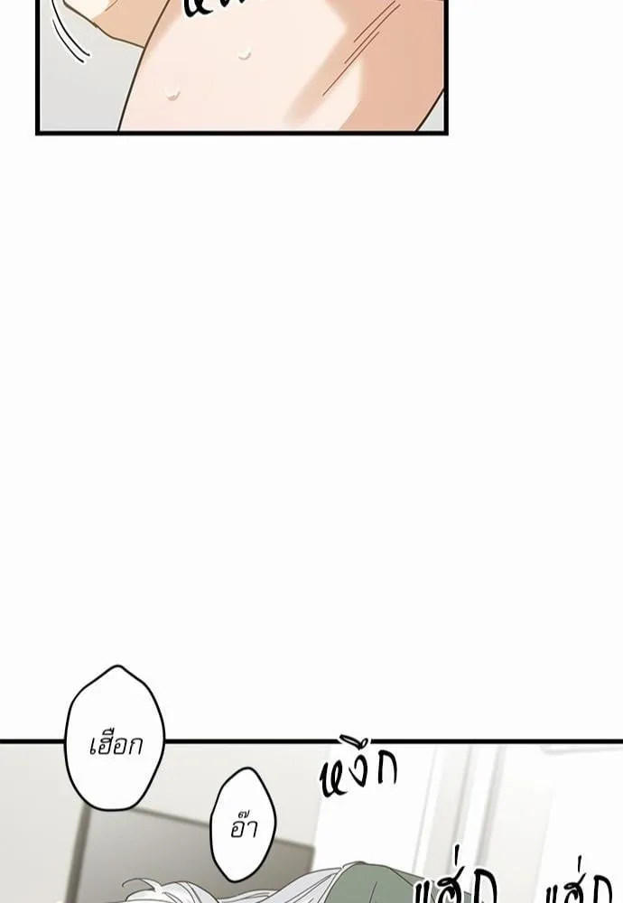 My One and Only Cat ตอนที่ 2146