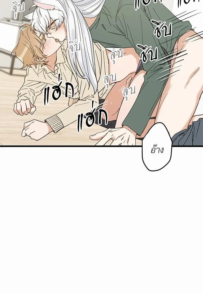 My One and Only Cat ตอนที่ 2147