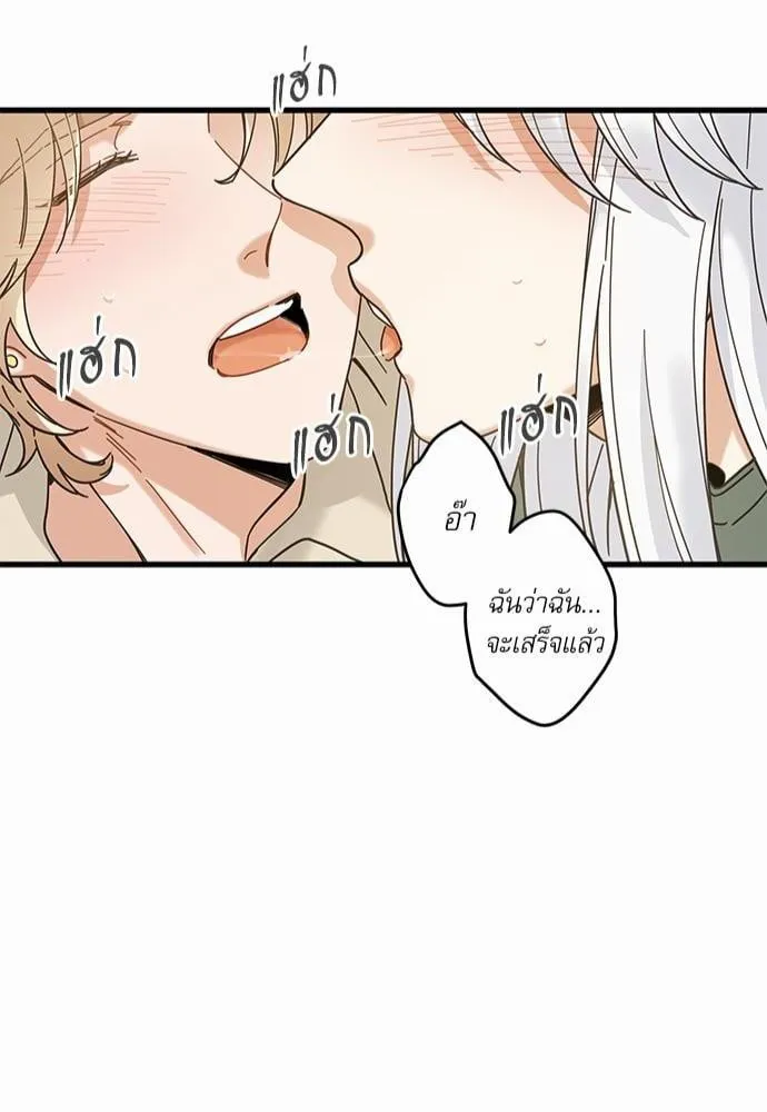 My One and Only Cat ตอนที่ 2148